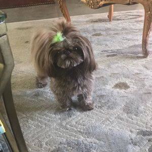 Meet your Posher, Sally